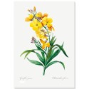 Постер "Botanical flowers"