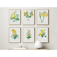 Постер "Botanical flowers"