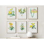 Постер "Botanical flowers"