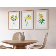Постер "Botanical flowers"