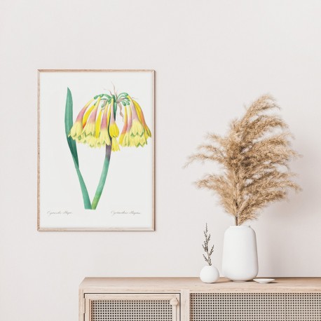 Постер "Botanical flowers"
