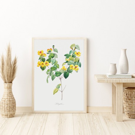 Постер "Botanical flowers"