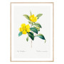 Постер "Botanical flowers"