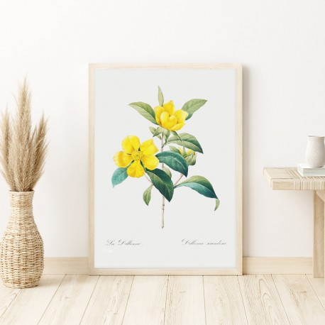 Постер "Botanical flowers"