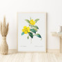 Постер "Botanical flowers"