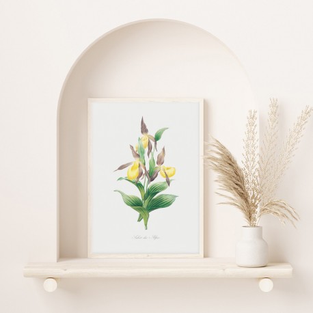 Постер "Botanical flowers"