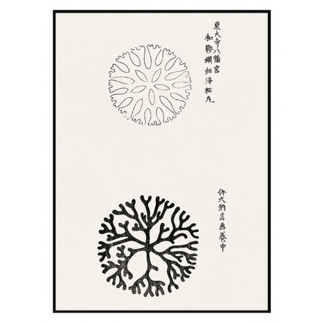 Постер "Yatsuo no tsubaki. Taguchi Tomoki"