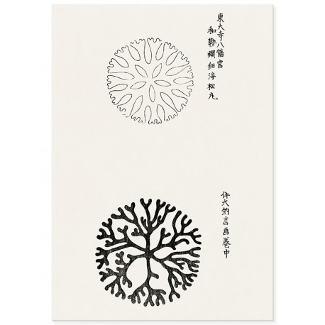 Постер "Yatsuo no tsubaki. Taguchi Tomoki"