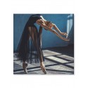 Постер "Балерина. Фотограф Дан Хечо"