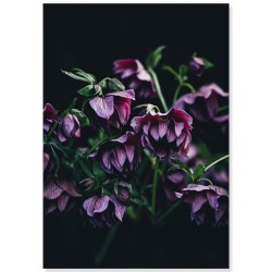 Комплект постерів "Purple"