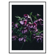 Комплект постеров в рамках "Purple"