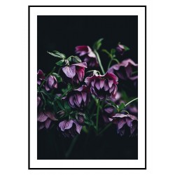 Комплект постерів в рамках "Purple"