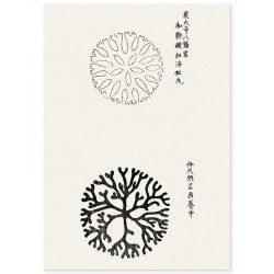 Комплект постеров "Abstract Japanese. Taguchi Tomoki"