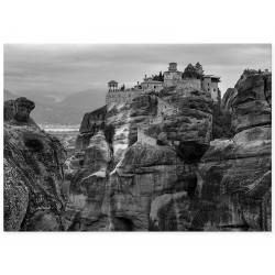 Комплект постерів "Forest"