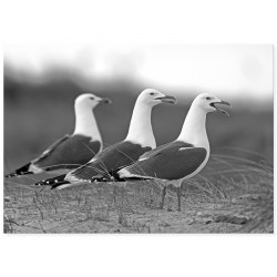 Комплект постеров "Forest"