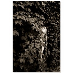 Комплект постерів "Fashionable"