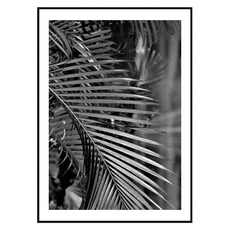 Постер "Palm"