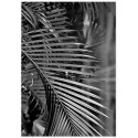 Постер "Palm"
