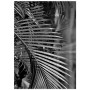 Постер "Palm"