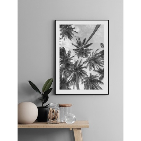 Постер "Palm"