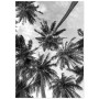 Постер "Palm"
