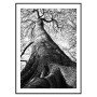 Постер "Tree"