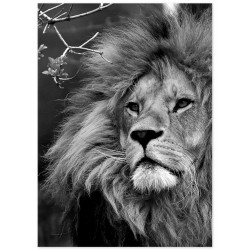 Комплект постерів "Сила та розум"