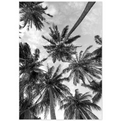 Комплект постерів "Дивись вгору"