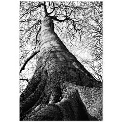 Комплект постеров "Смотри вверх"