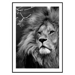 Комплект постеров в рамках "Сила и ум"