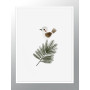 Постер "Forest Animals"