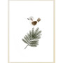 Постер "Forest Animals"