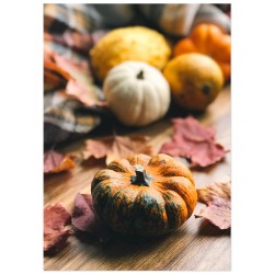 Постер "Тыква"