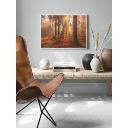 Постер "Mystery Forest"