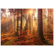 Постер "Mystery Forest"