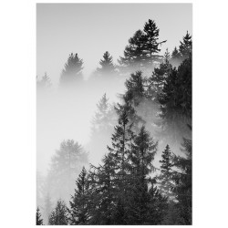 Комплект постеров "Sunbirds"