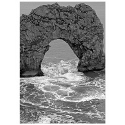 Комплект постерів "Sunbirds"