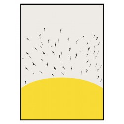 Комплект постерів в рамках "Sunbirds"