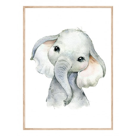Комплект постерів в рамках "Little Baby Animals Safari"