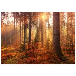 Комплект постеров "Уютная осень"