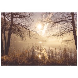 Комплект постеров "Diversity"