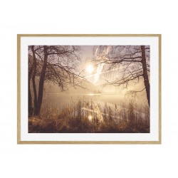 Комплект постерів в рамці "Diversity"