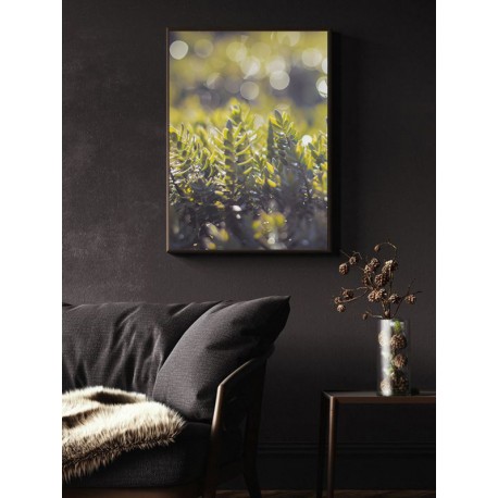 Постер "Spring rain"