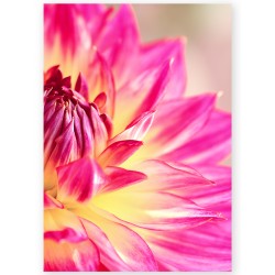 Комплект постеров "Dahlia"