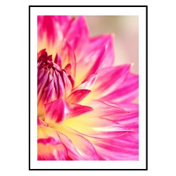 Комплект постерів в рамках "Dahlia"