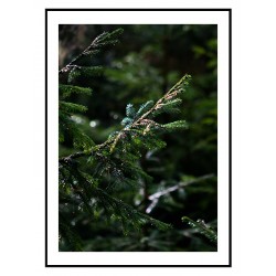 Комплект постерів в рамках "Merry Christmas"