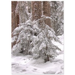 Постер "Уют"