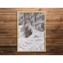 Постер "Уют"