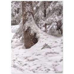 Комплект постеров "Уют"