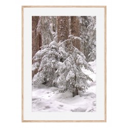 Комплект постерів в рамках "Затишок"